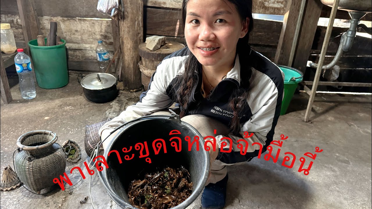 แล้วปาเลาะดงหาขุดรับจิหล่อ  ฝั่งไทยเรียกว่าตัวอะไรคะ  #ฝากกดติดตามด้วยนะคะ #สาวพร ￼