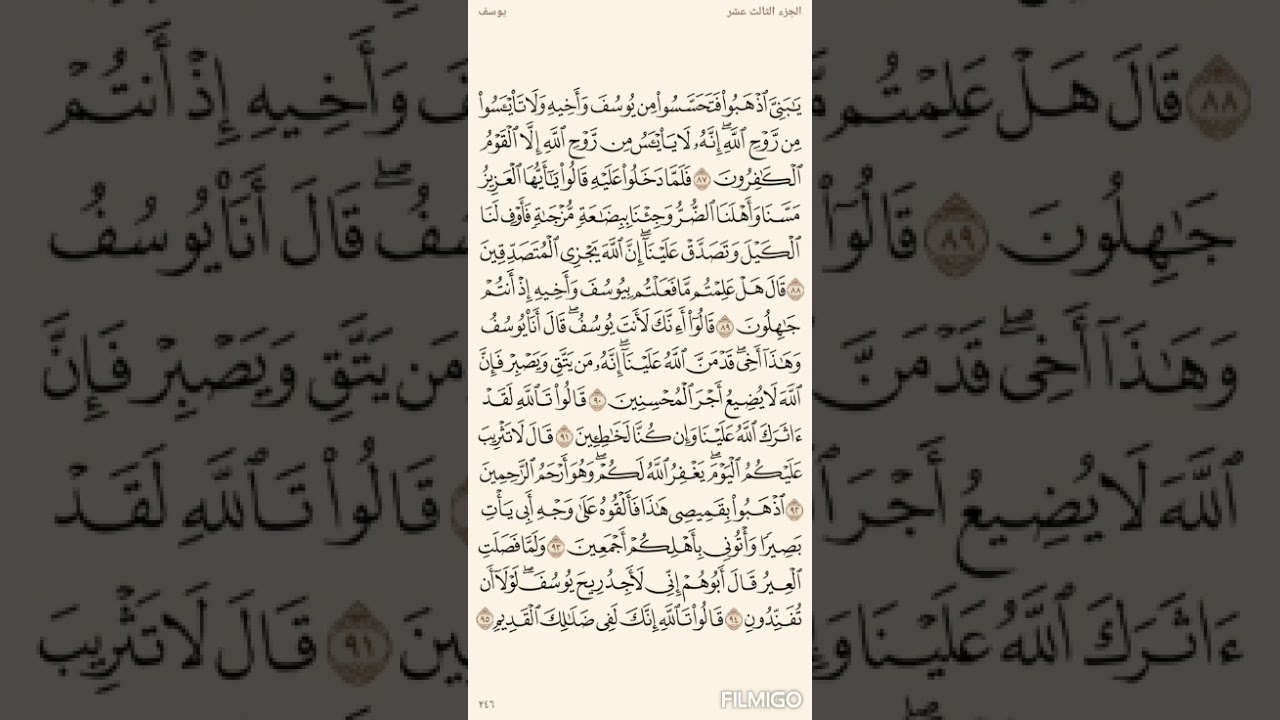 تفسير السعدي صفحة 246 سورة يوسف (87) الى الاية (95)