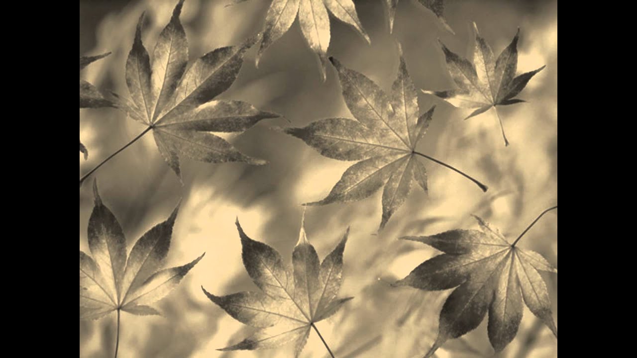 Jackson Browne-Fountain of sorrow with lyrics