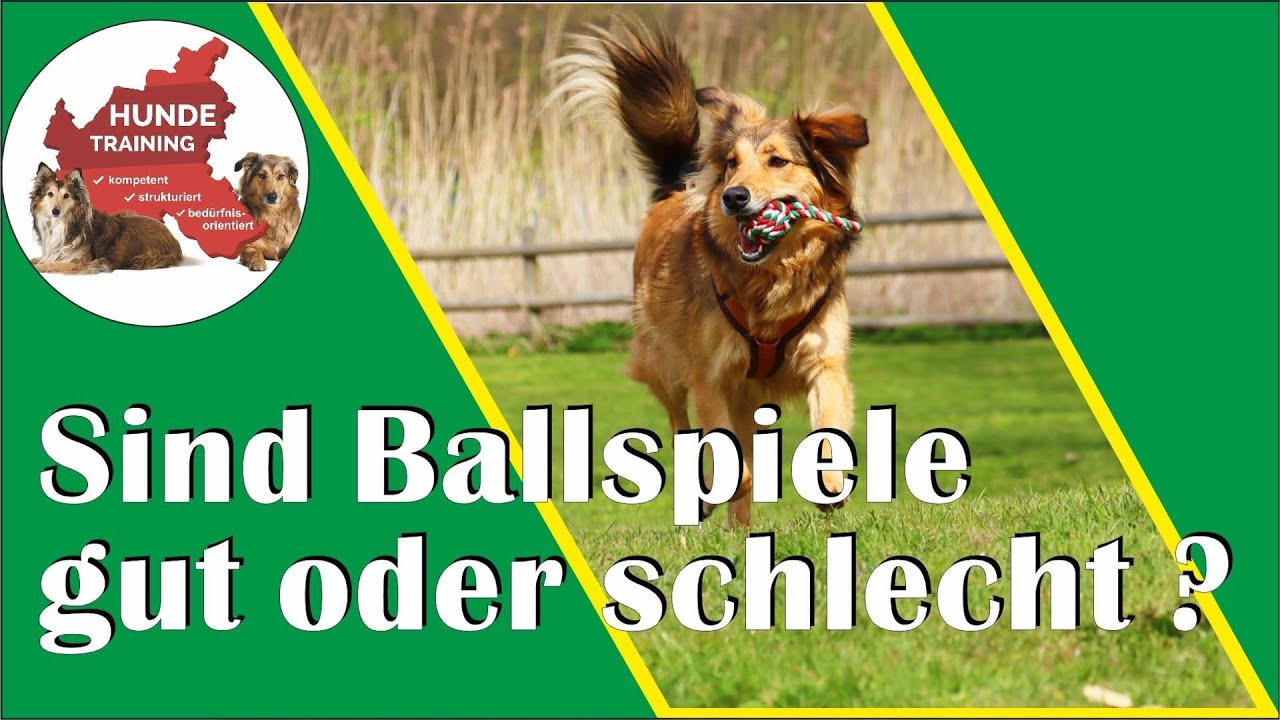 Mythos Balljunkie: Warum Bälle werfen GUT für und Deinen Hund ist - uns was es hier zu beachten gibt