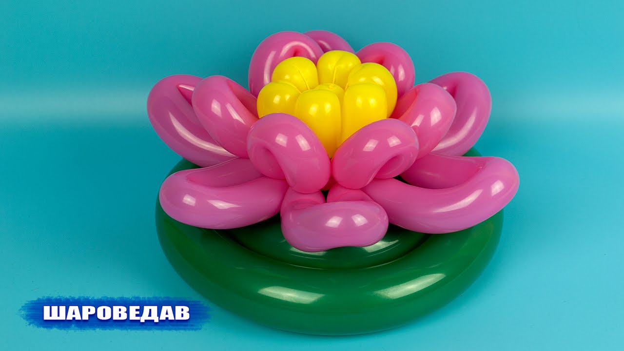 Lotus Water lily