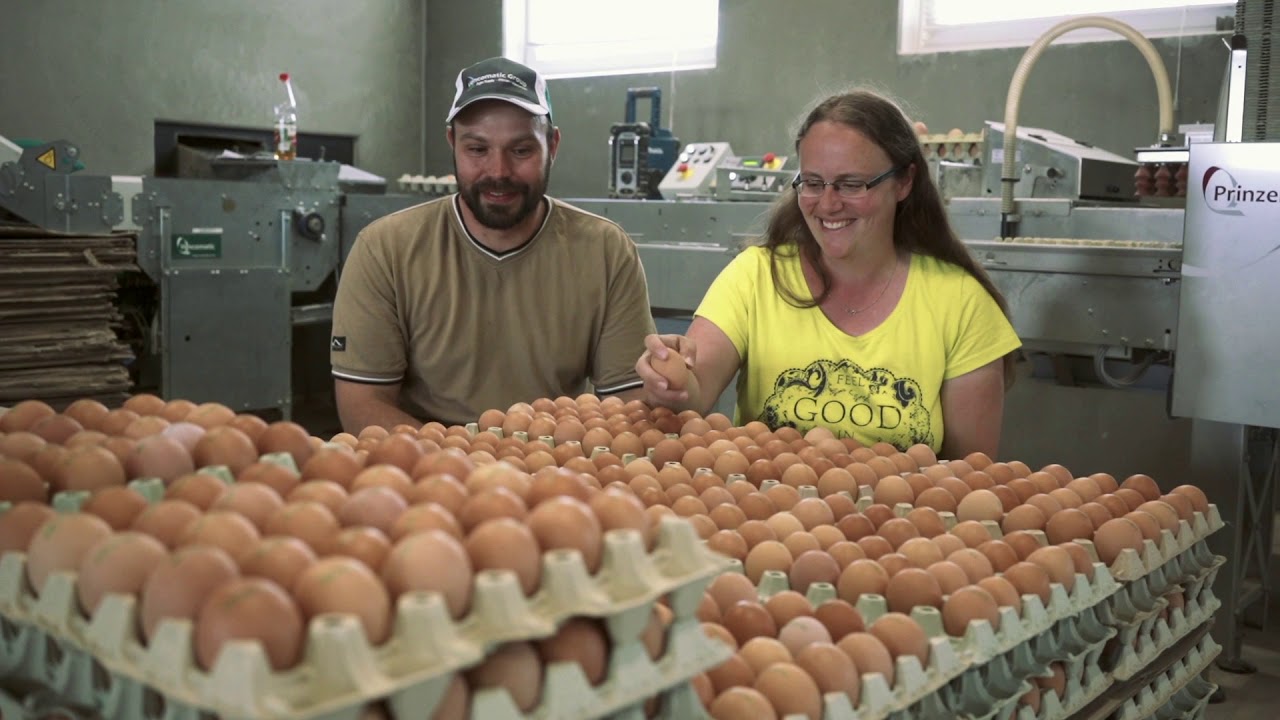 Biohof Klara von den Biohennen