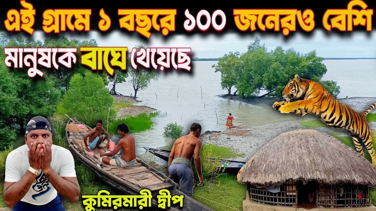 সুন্দরবনের এই গ্রামে ১ বছরে ১০০ জনেরও বেশি মানুষকে বাঘে খেয়েছে/আকাশে মেঘ হলেই আতঙ্কে থাকি/Kumirmari