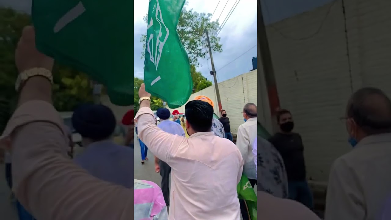 PDP Protest reels 2