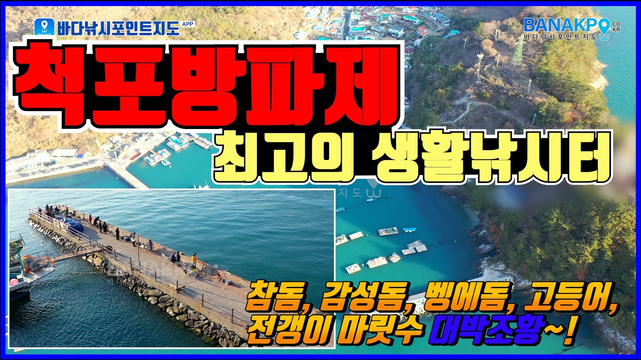 통영 척포항 방파제  참돔, 감성돔, 벵에돔, 고등어, 전갱이 마릿수 대박조황~!