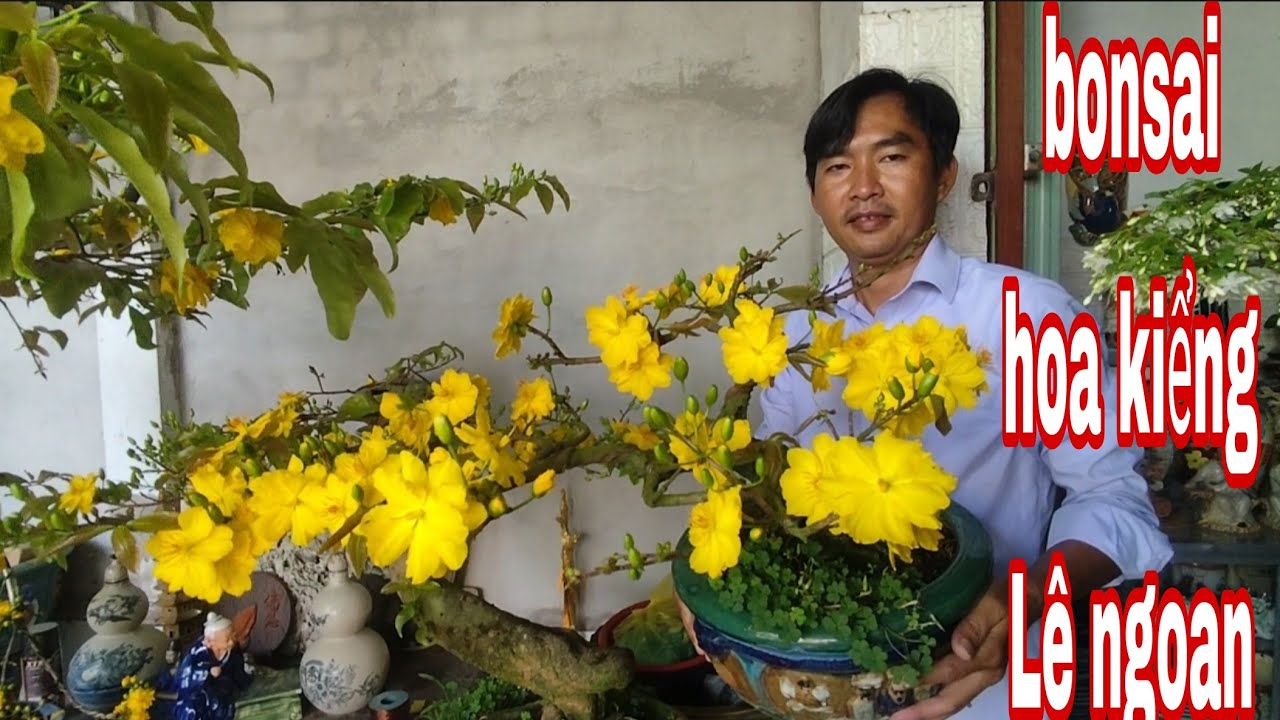vườn hoa kiểng Lê ngoan 