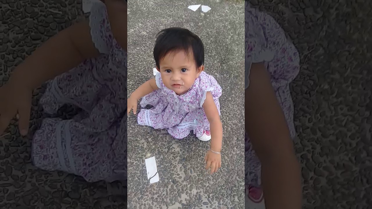 Mengejar Matahari - Lailan Syahida Syati Lubis
