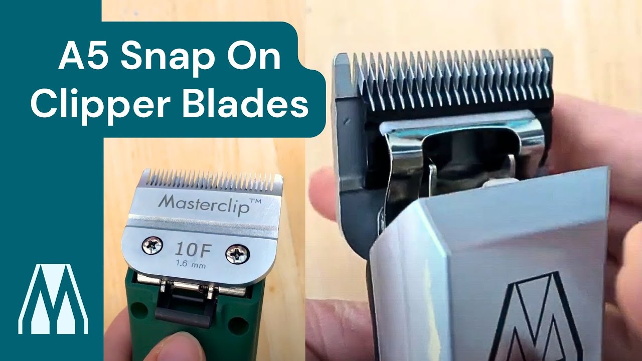 Snap On A5 Clipper Blades - How To Change The Blades - Masterclip Dog & Horse Clippers (So Easy!)