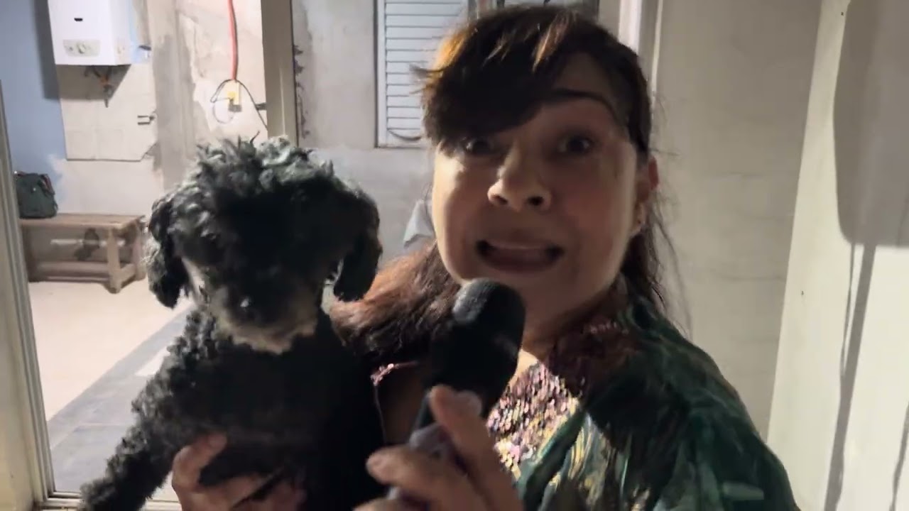 Susana y Daniel 🥳 noche de amigos / Los Porteñitos 