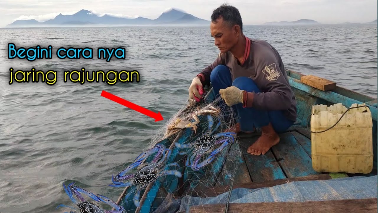 Crab Net, Jaring ketam suri | crab catching
