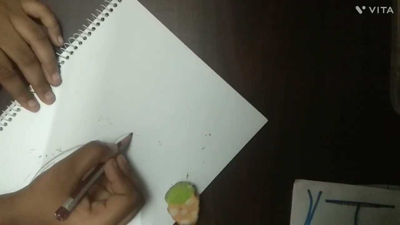 How to draw dolphin creative art @Ritsu_ARC