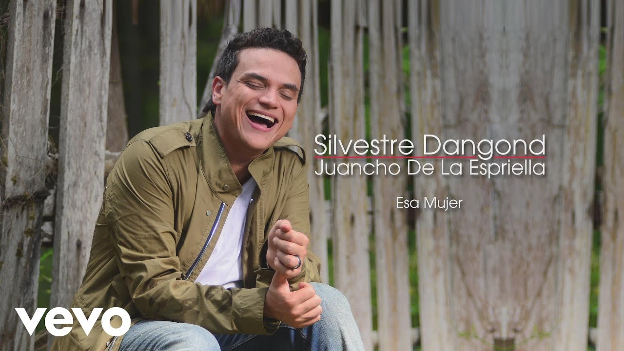 Silvestre Dangond - Esa Mujer (Cover Audio)