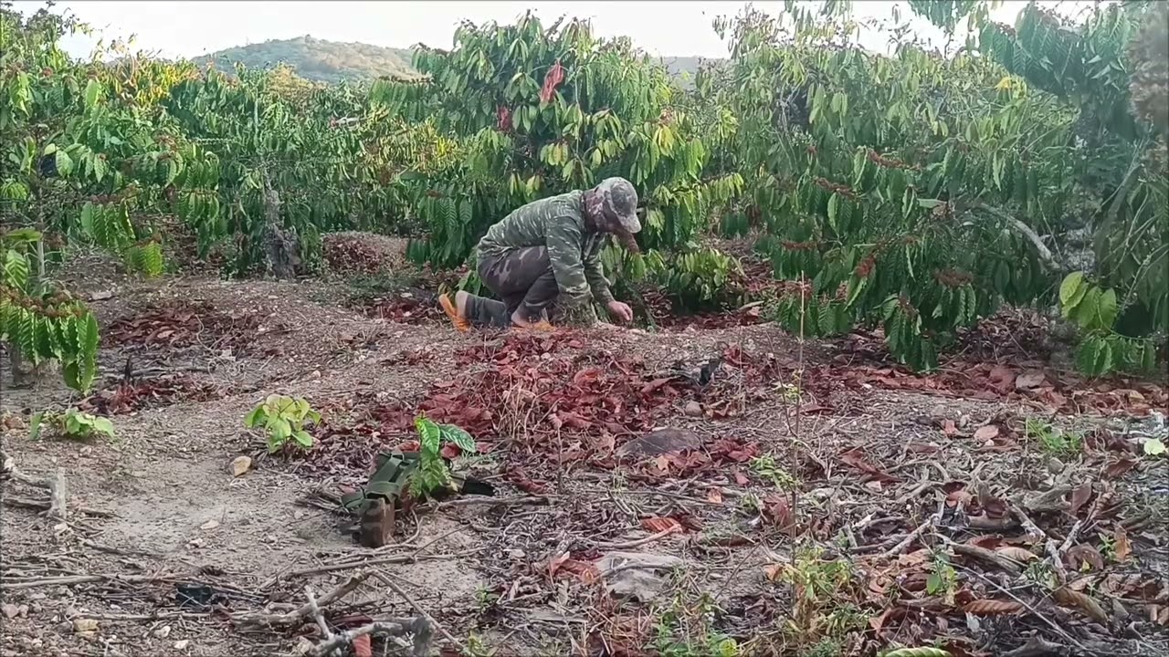 Rr lần đầu tập rừng ko gáy mà vẫn có bổi