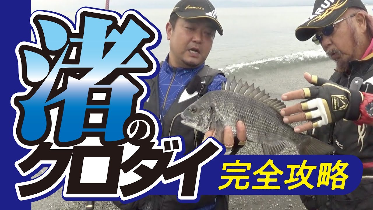 渚のクロダイ　完全攻略