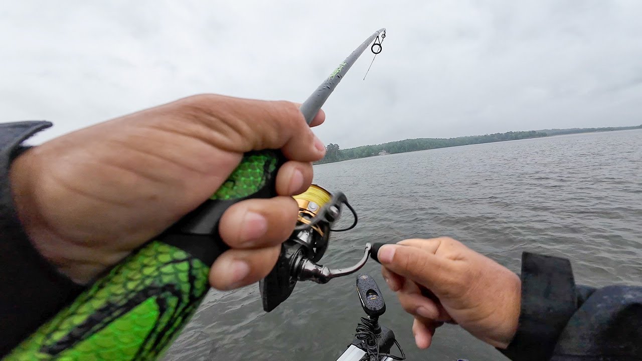 Pesca Y Cocina De Mojarras Gigantes