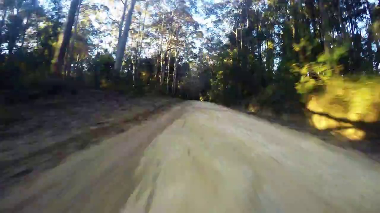 Watagans National Park Drive Timelapse