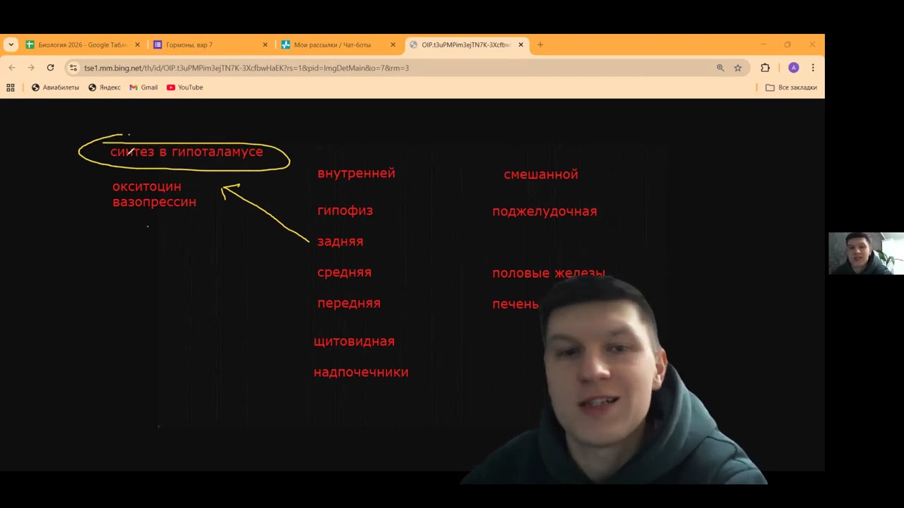 Гормоны для ЦТ, ЦЭ и устного экзамена