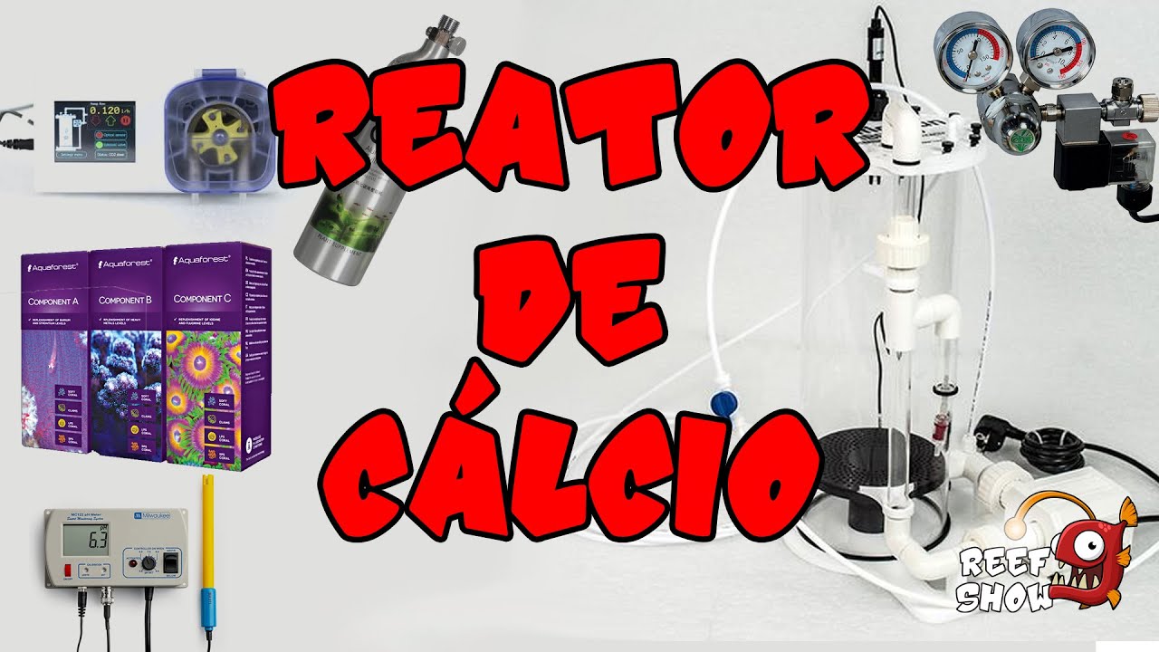TUDO sobre REATOR de CÁLCIO - Funcionamento, dosagem, etc - Reef Show #94 - Aquário Marinho