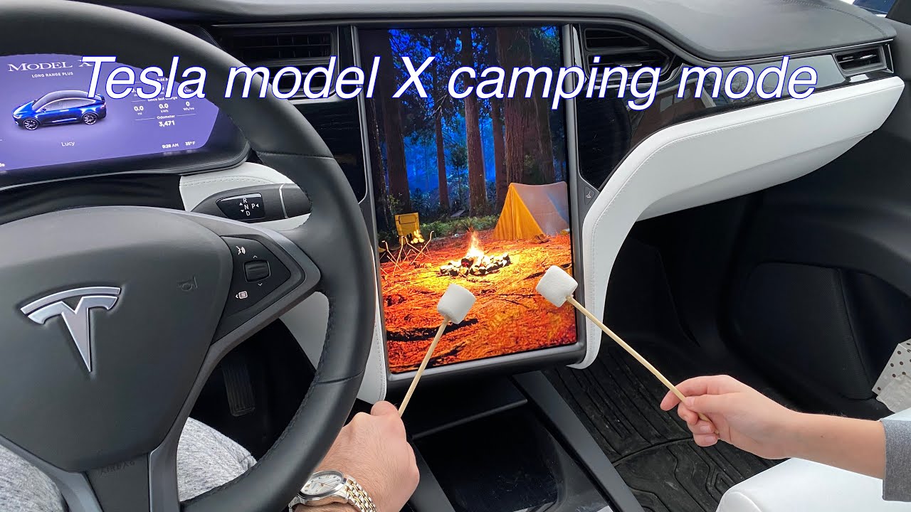 Camping and roasting marshmallows in our Tesla model X.  Camp mode and custom fit mattress.