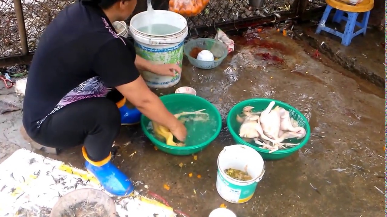 C&aacute;ch mổ moi g&agrave;