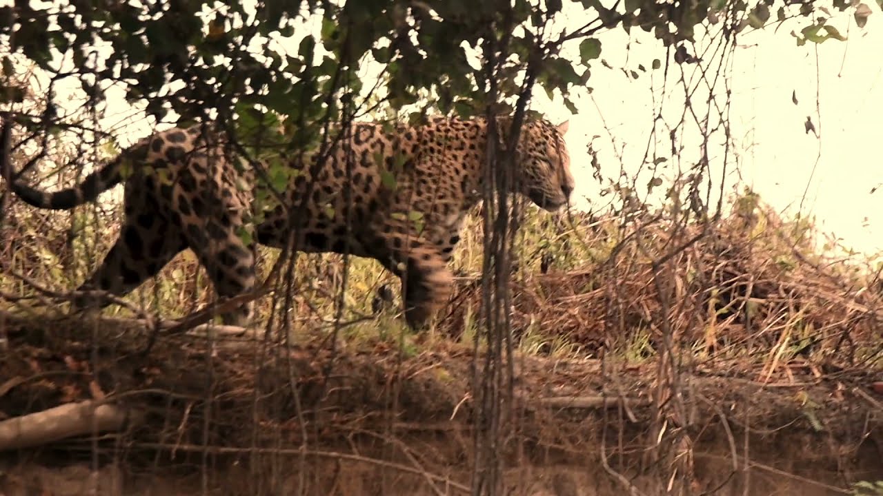 Nuestro Lugar (Jessyca Sarango) VIDEO OFICIAL