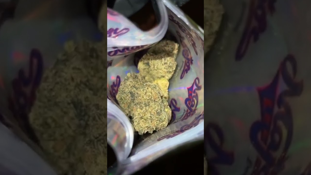 Lime Latti MrGelatti / MajorLeagueExotics Cali Weed