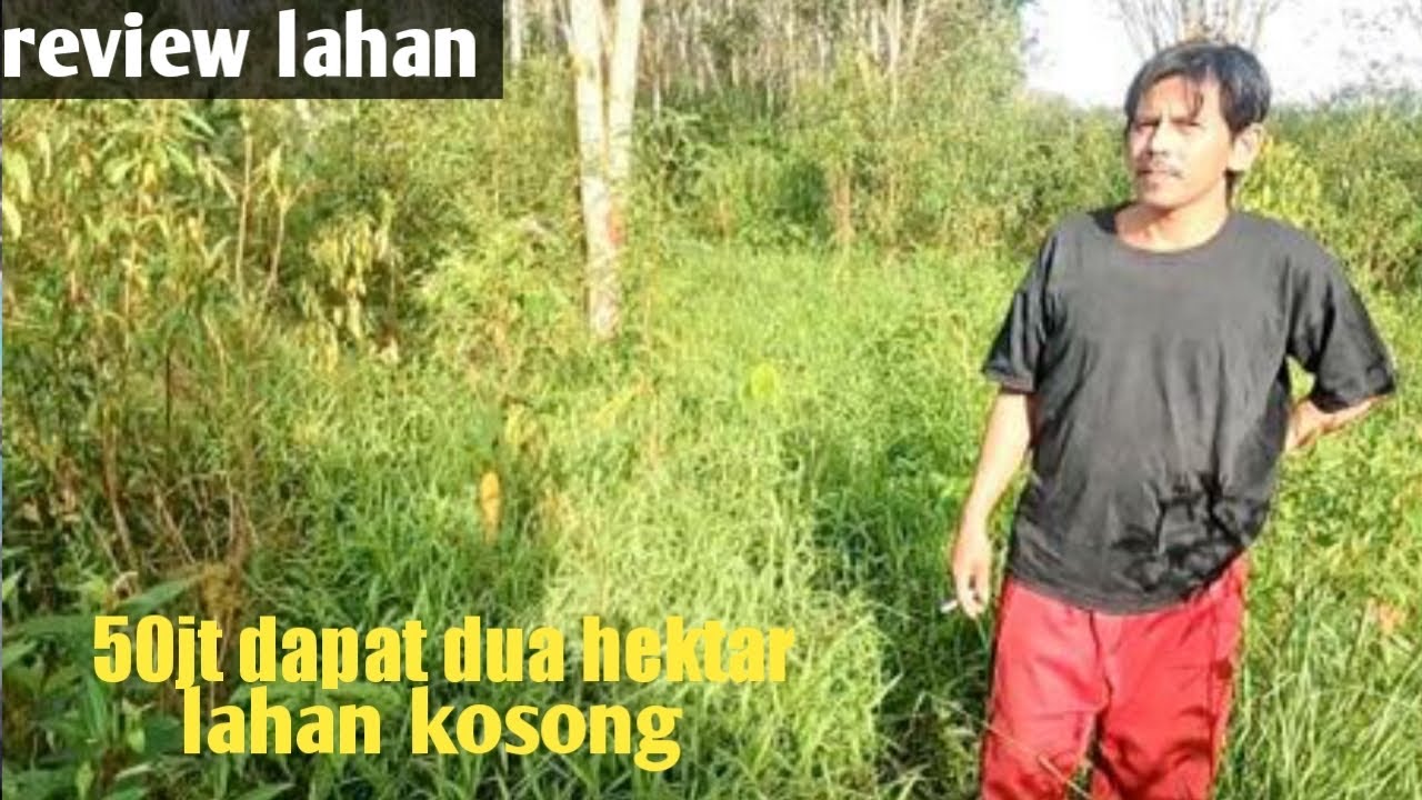 Review lahan kosong bersertifikat cocok utk tanam sawit
