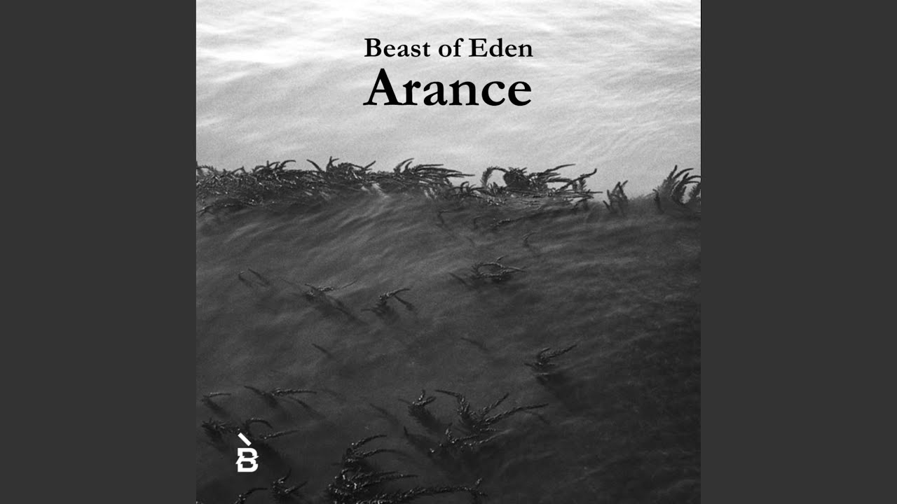 Arance (A. Collodel)