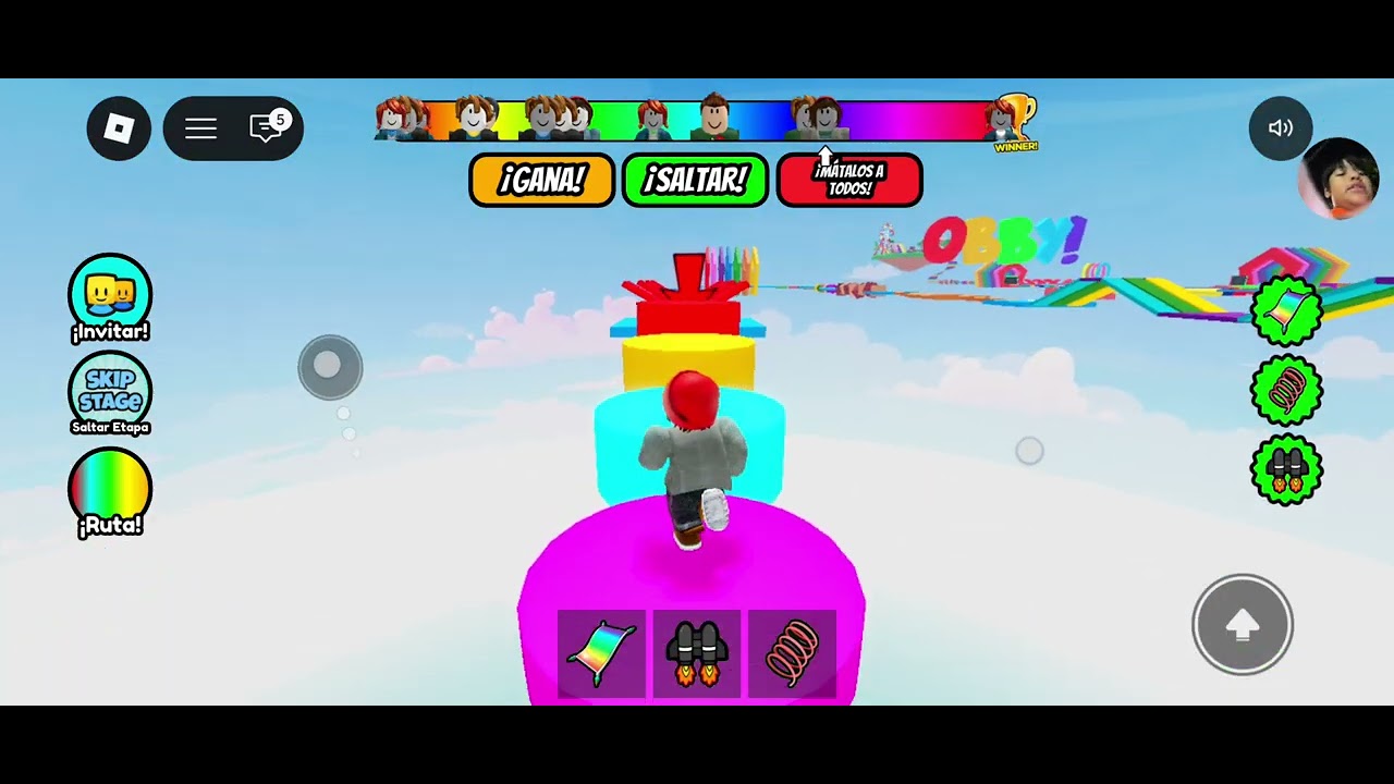 Mi experiencia en un obby