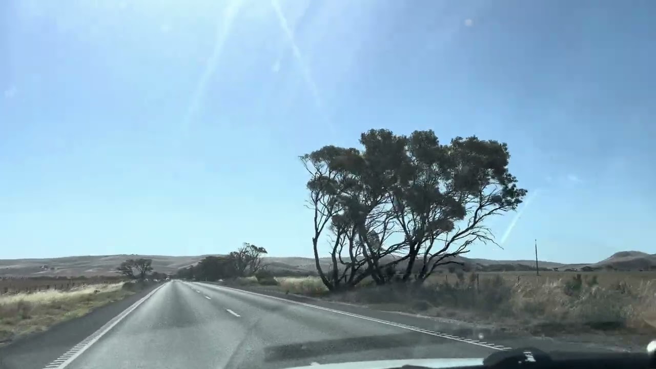 Swan reach drive 2025 camping 