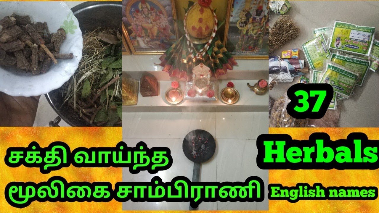 Самый мощный травяной самбарани | 37 Herbals дарит позитивные вибрации | Mooligai Sambarani