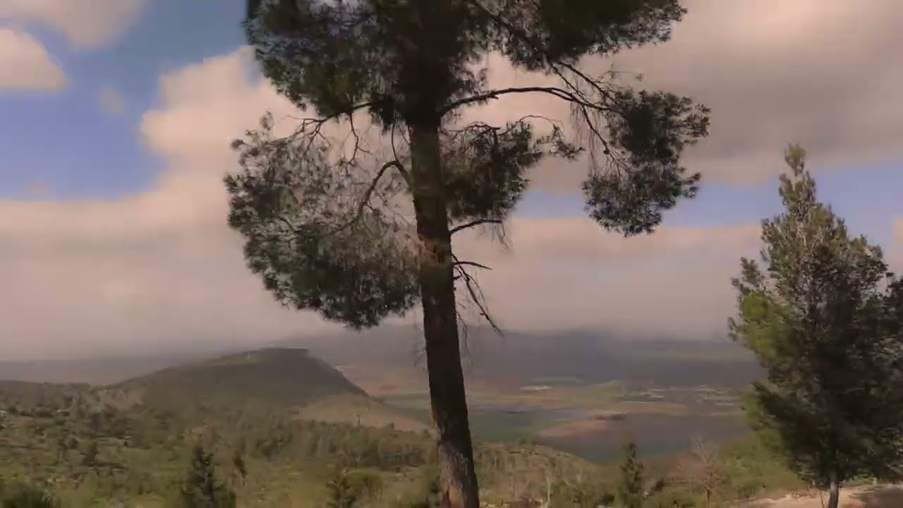 Alon Tamir - Psalm 119  אלון תמיר - צדיק אתה ה׳