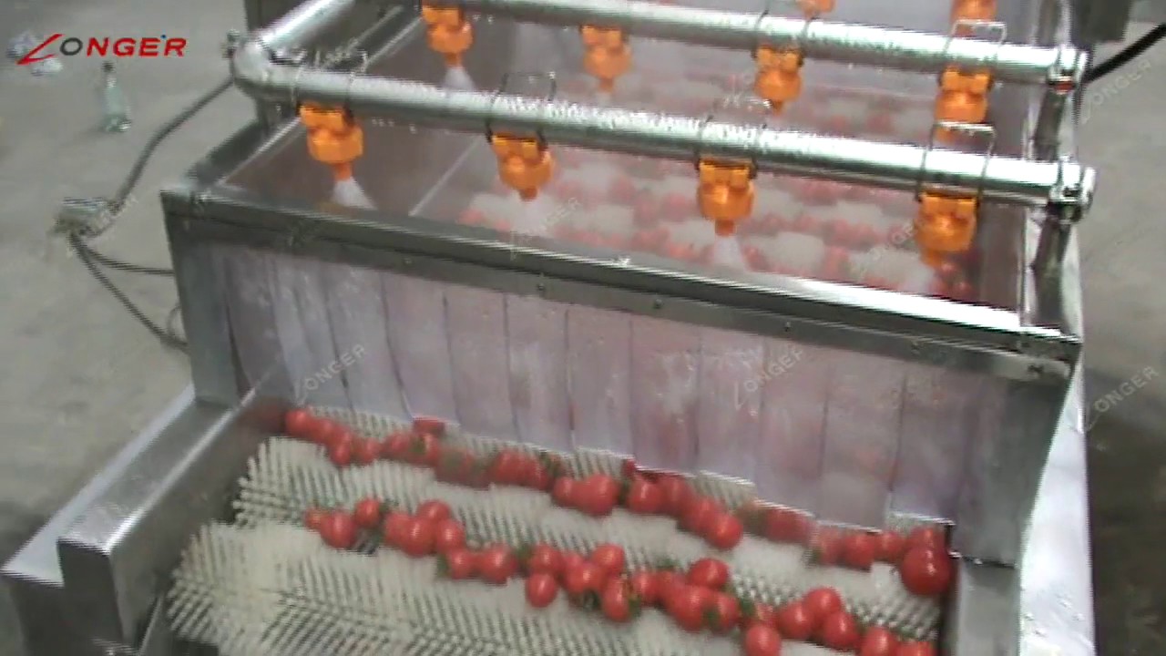 High efficiency Tomato Washing Machine|Automatic Tomato Cleaning Machine