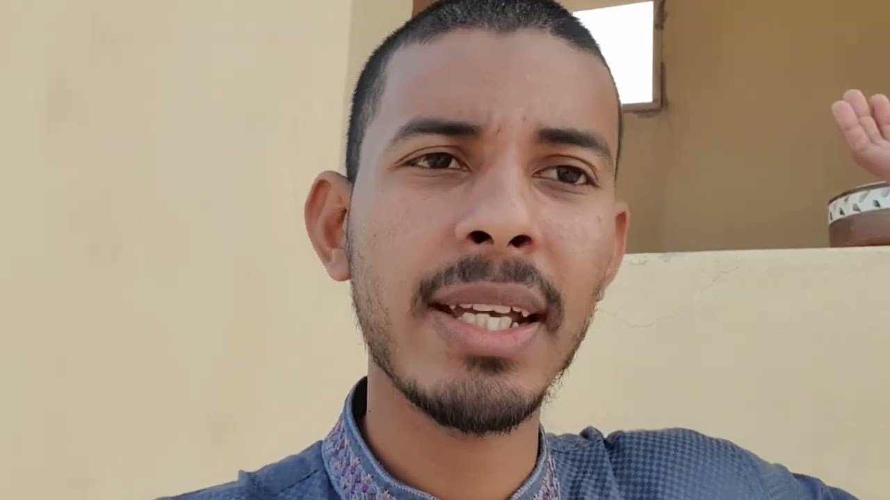 কবুতর গুলো দেখতে আসলাম