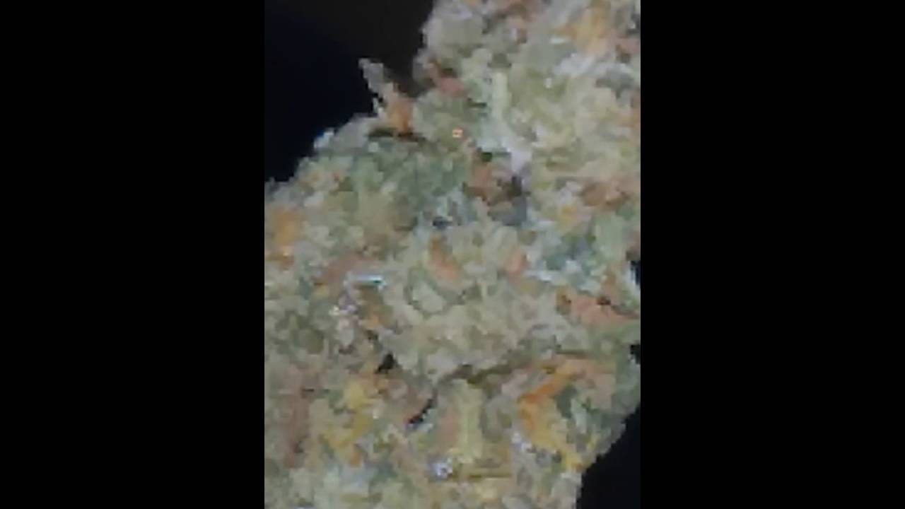 Critical cheese