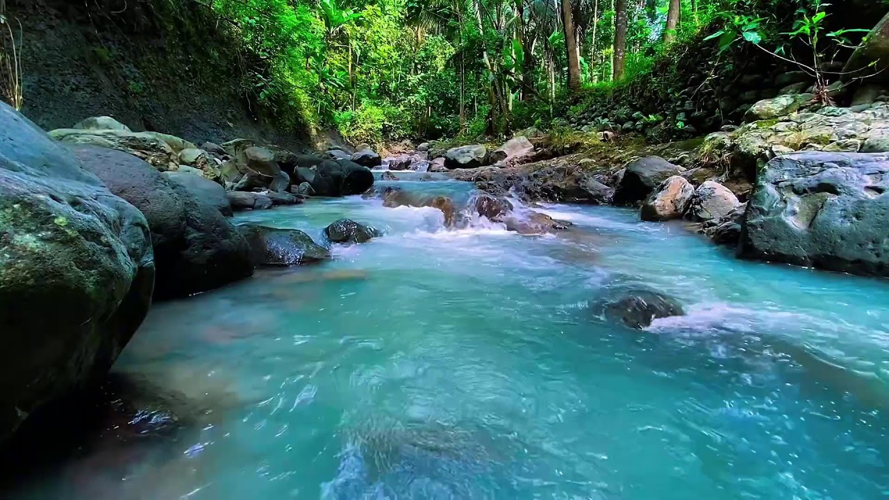 Mountain Stream Water Noise, Forest River Flow, Sleep
