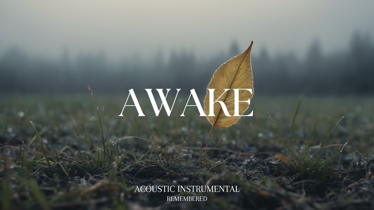 Emotional and Relaxing Guitar for Stress Relief, work and study | REMEMBERED