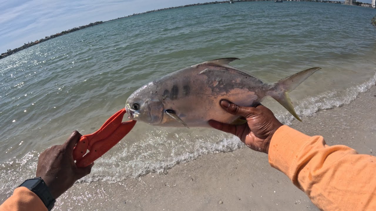 Florida Spring Fishing Is Here! The bite is HOT 🔥‼️