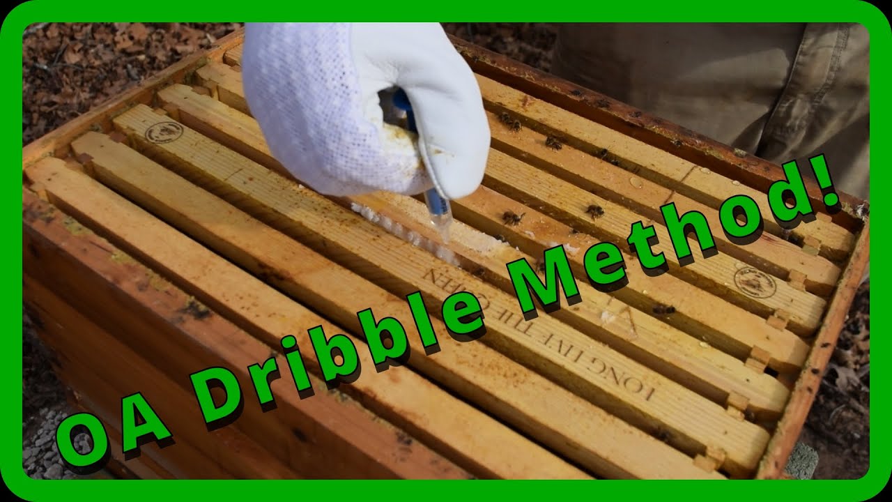 Oxalic Acid Dribble Method