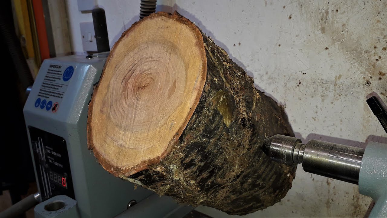 Woodturning - Natural Edge Plum Bowl