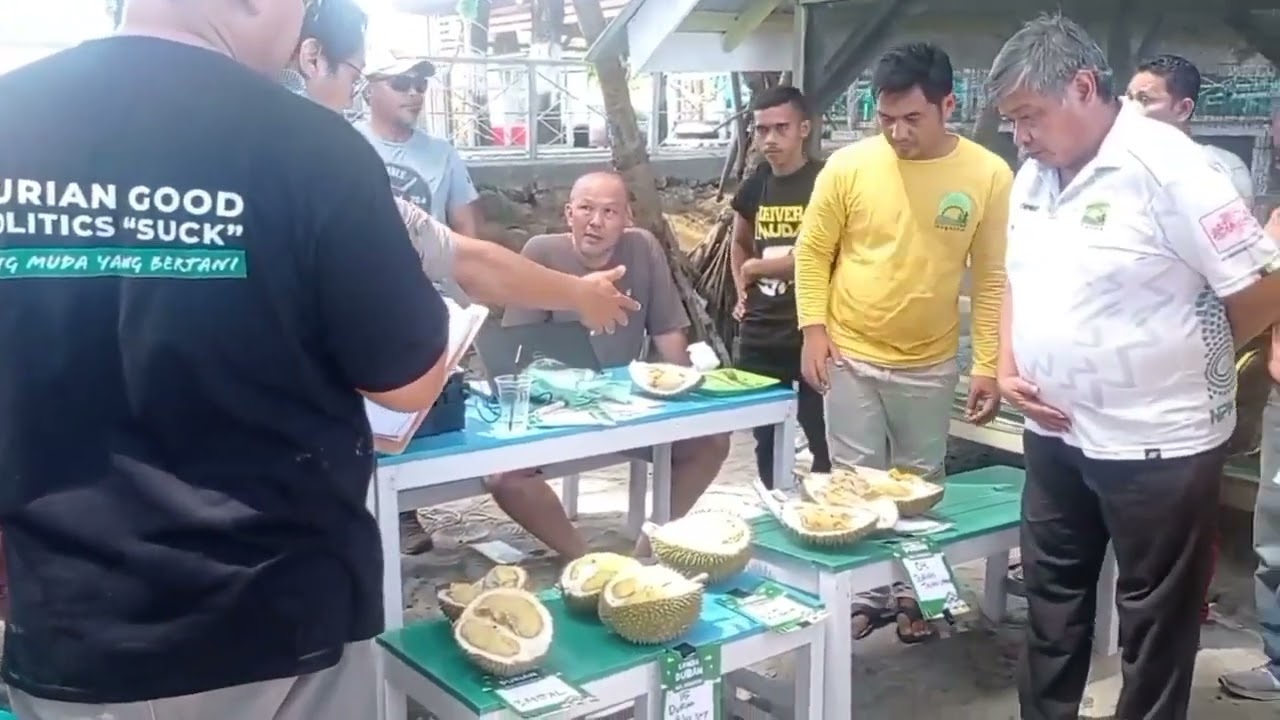 perjalanan durian bantal emas menuju juara kontes durian Aceh