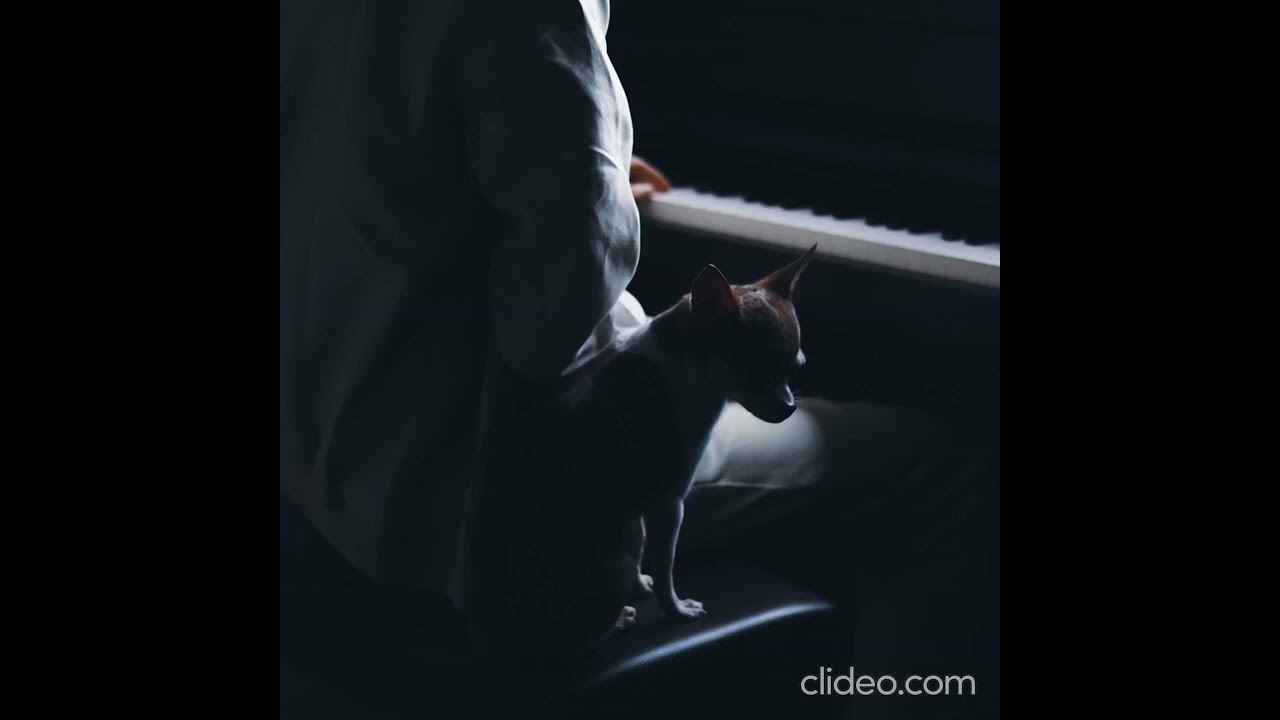 Idea 22 -Gibran Alcocer, 10 hours