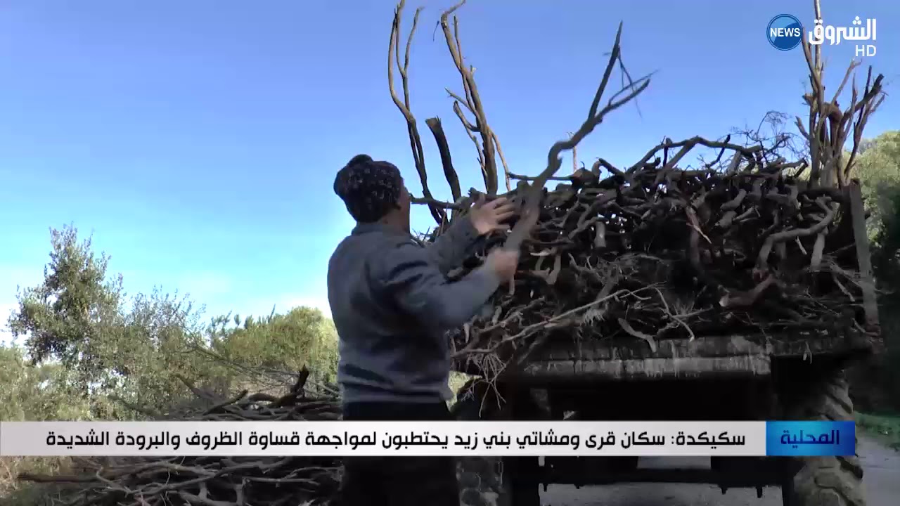سكيكدة: سكان قرى ومشاتي بني زيد يحتطبون لمواجهة قساوة الظروف والبرودة الشديدة