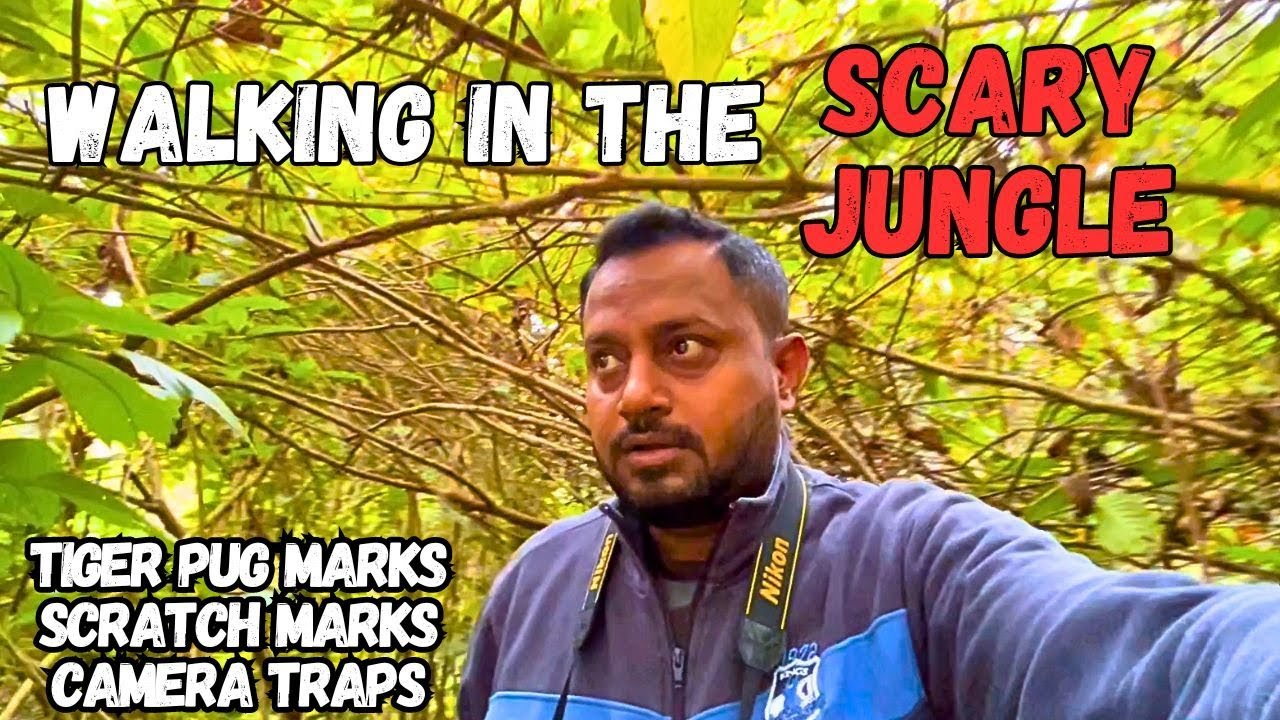 Guided Nature Walk in the Forest | Exploring Nature | Wayanad Wildlife Sanctuary @ExplorerNaba
