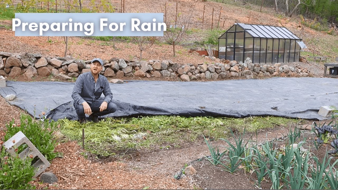 Take Advantage of Nature's Irrigation | Prepare and capitalize on the rainy season ahead.