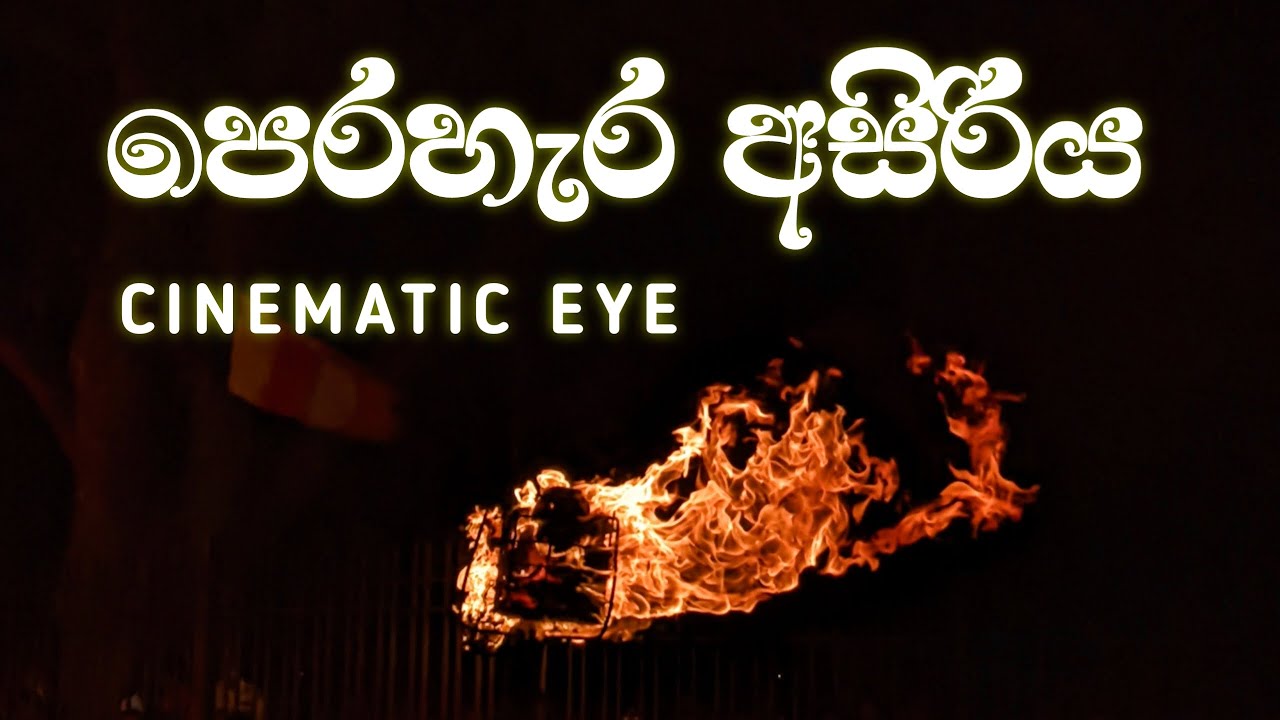 Kandy Asala Perahara | Cinematic video | Dalada perahara in Cinematic Eye 🙏🏻🌸😍