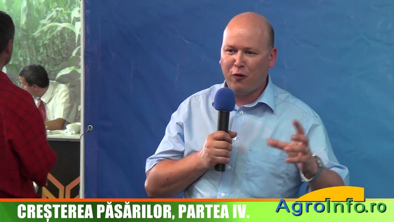 Gaini ouatoare in sistem free range