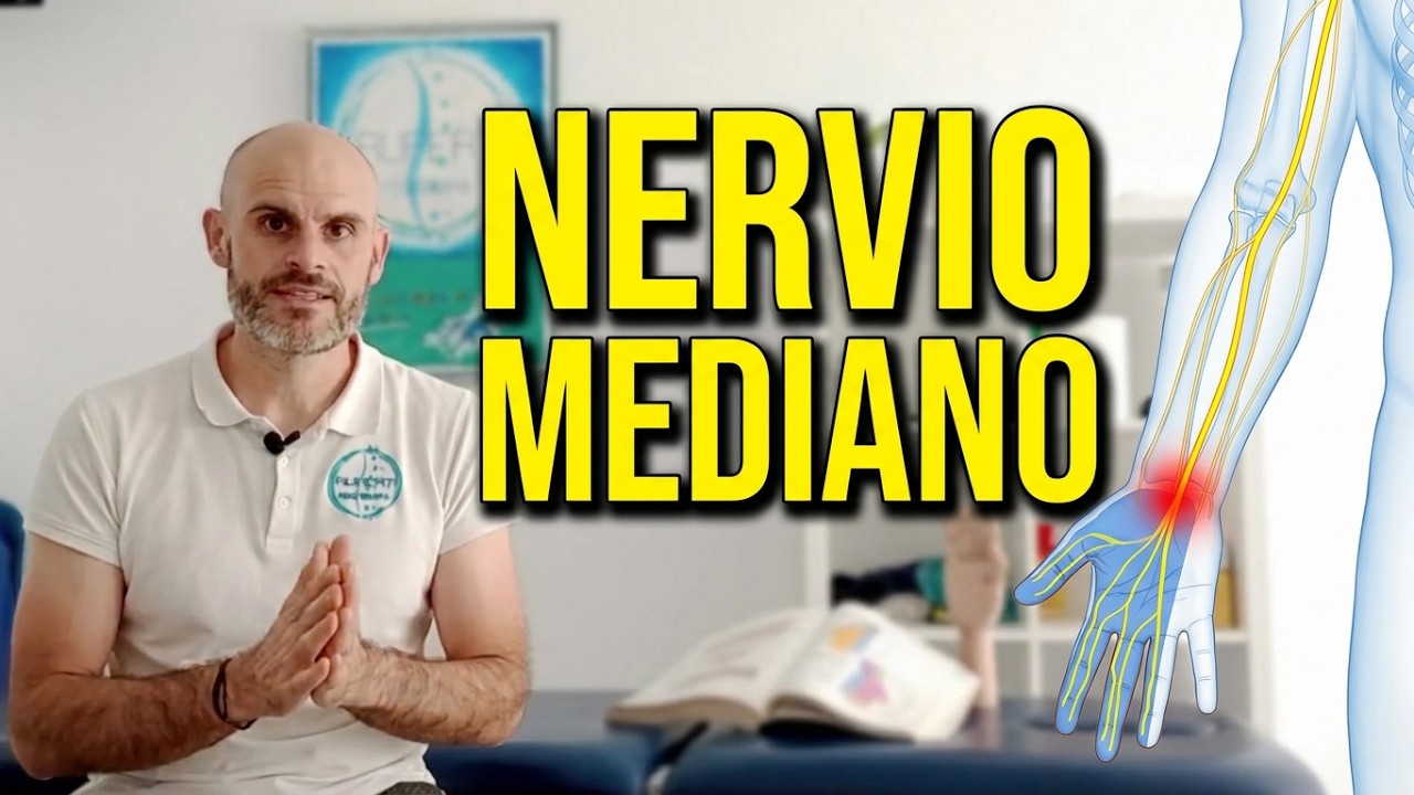 NERVIO MEDIANO (síndrome del TUNEL DEL CARPO) DESCRIPCIÓN + EJERCICIOS