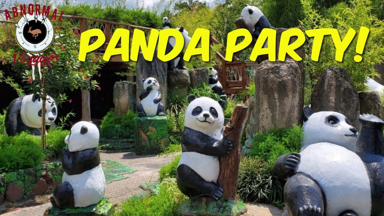 Panda-monium in Lucky Land - (Lucky Land Park in Houston, TX)