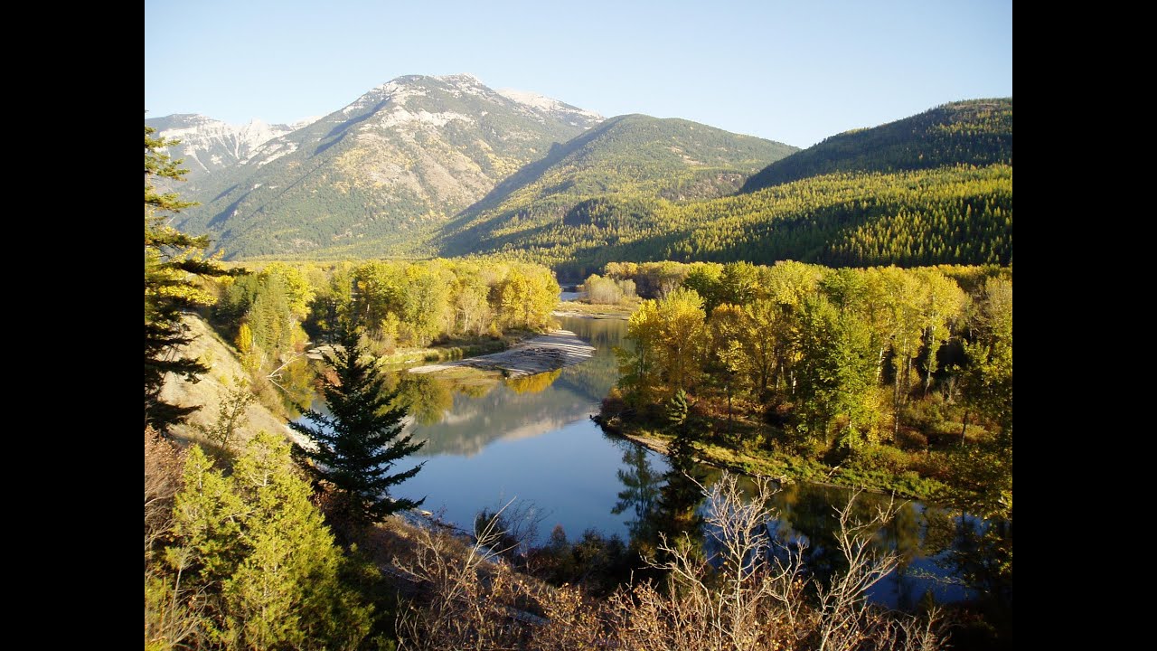 Stewart Rood: Trees of the People - Cottonwoods around the Crown of the Continent